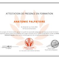 Anatomie palpatoire